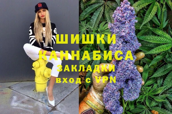тгк Аркадак