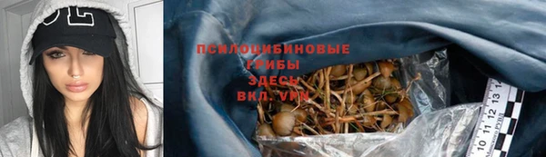 apvp Арсеньев
