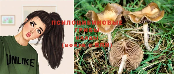 тгк Аркадак