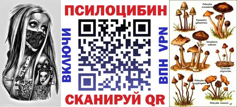 Псилоцибиновые грибы Psilocybine cubensis  купить наркотик  ссылка на мегу зеркало  Тейково 